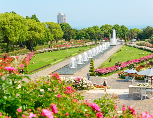 La Jolla神戸中山手からキャンペーン情報、お知らせ情報